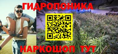 крисы Ипатово