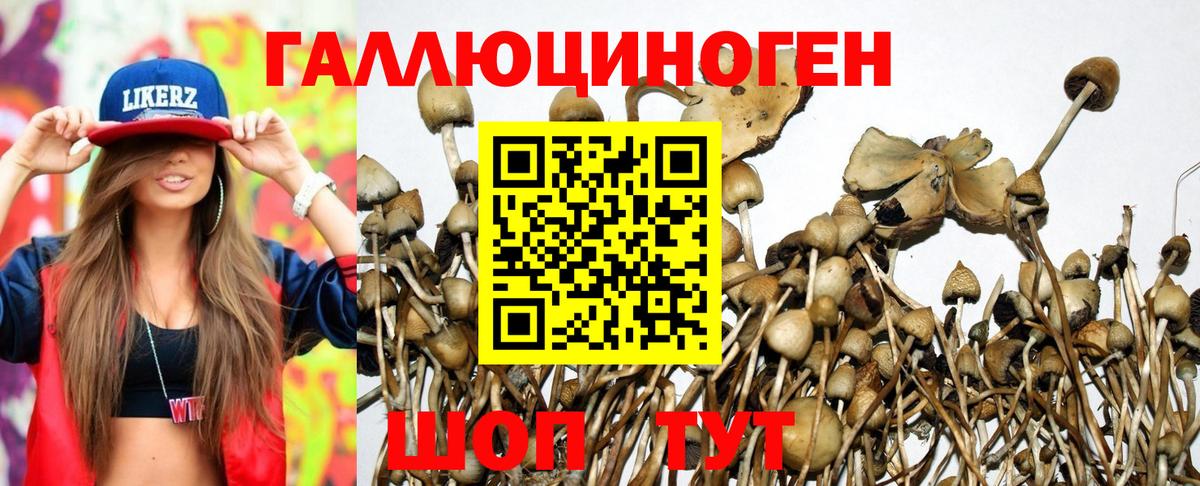 Лангепас  Галлюциногенные грибы MAGIC MUSHROOMS  Вход с VPN 